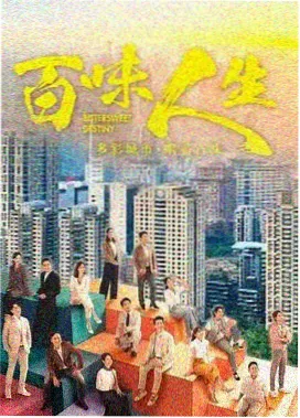纪实观察路线卡片封面